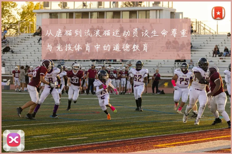 从虐猫到流浪猫运动员谈生命尊重与竞技体育中的道德教育