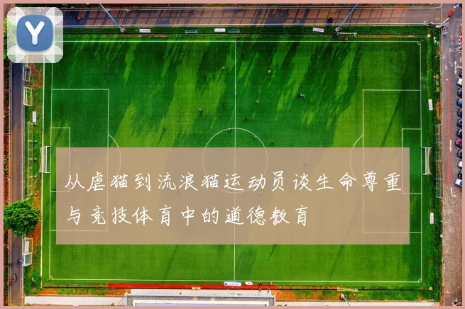 从虐猫到流浪猫运动员谈生命尊重与竞技体育中的道德教育